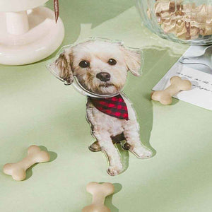 Personalized Refrigerator Magnet – Custom Pet Photo with Bobble Head - Customise Now