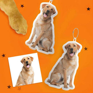 Pet Shaped Pillow – Personalized Gift for Cat & Dog Lovers - Customise Now