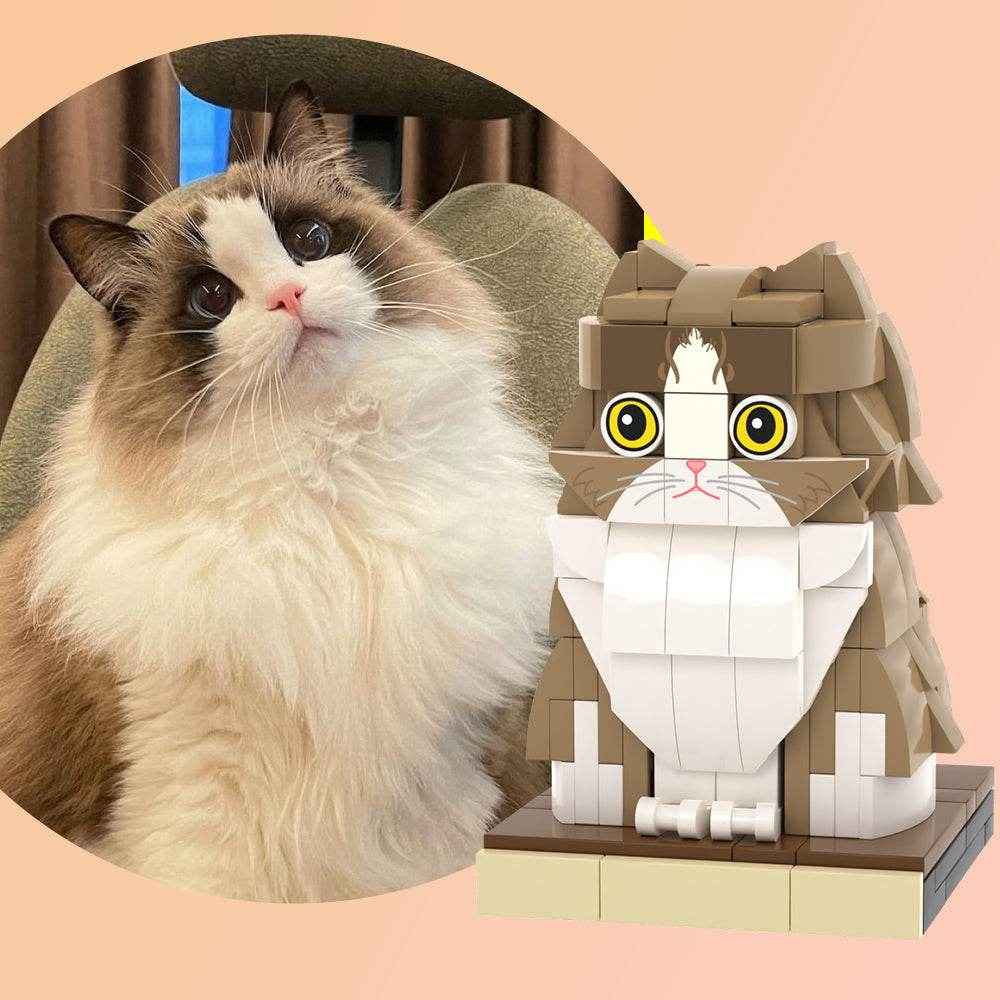 Customizable Ragdoll Cat Brick Toy – Unique Full Body Mini Block Set - Customise Now