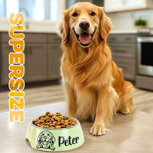 Personalized Pet Bowl – Custom Stainless Steel Dog Food & Water Dish - Customise Now