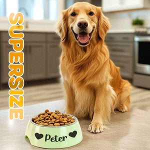 Personalized Pet Water Bowl – Custom Stainless Steel Feeding Dish for Pets - Customise Now