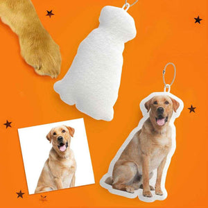 Pet Shaped Pillow – Personalized Gift for Cat & Dog Lovers - Customise Now
