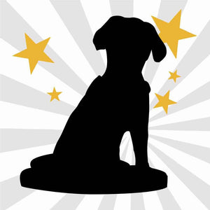 Personalized Animal Bobblehead – Custom 1 Pet Figurine with Fixed Head - Customise Now