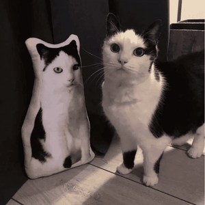 Pet Shaped Pillow – Personalized Gift for Cat & Dog Lovers - Customise Now