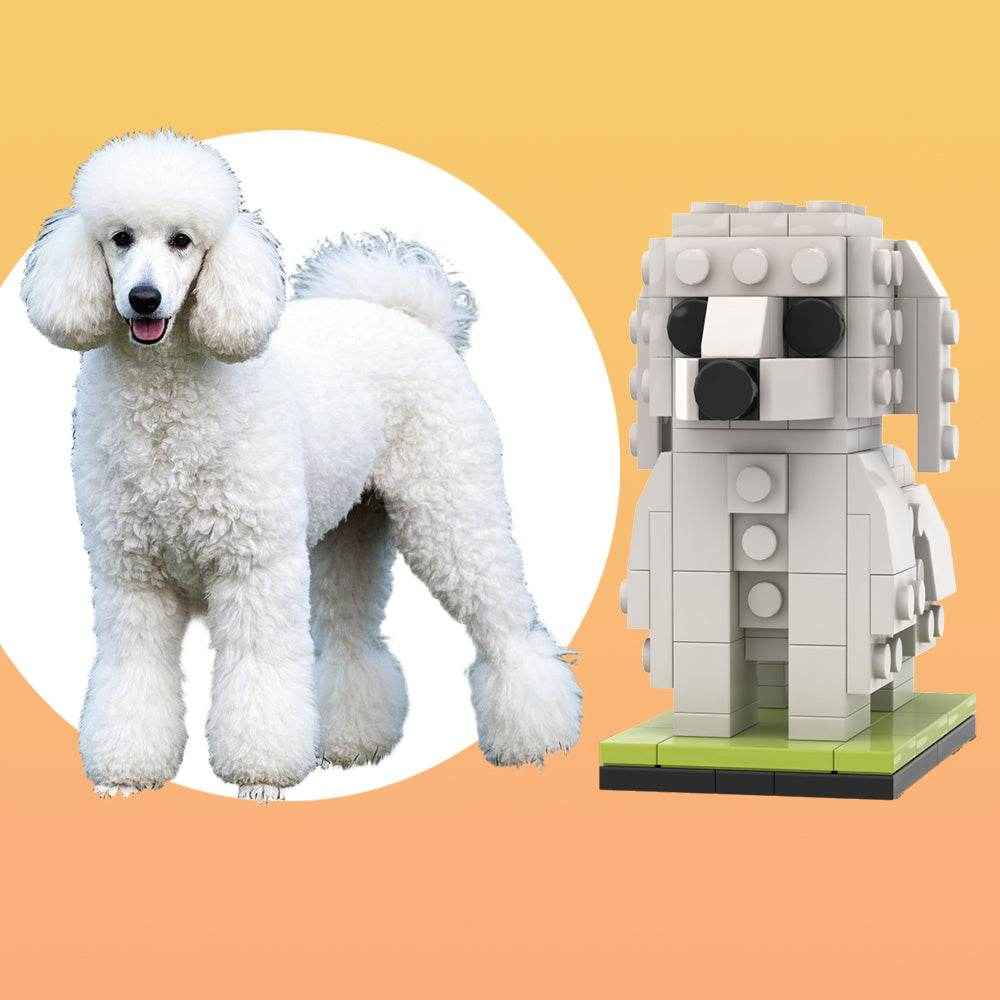 Customizable Poodle Dog Brick Figure – Unique Full Body Mini Block Display - Customise Now