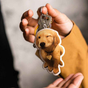 Custom Pet Photo Keychain – Soft Mini Pillow with Personalized Name - Customise Now