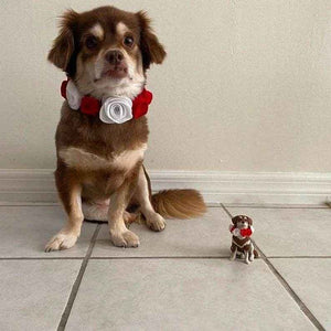 Personalized Animal Bobblehead – Custom 1 Pet Figurine with Fixed Head - Customise Now