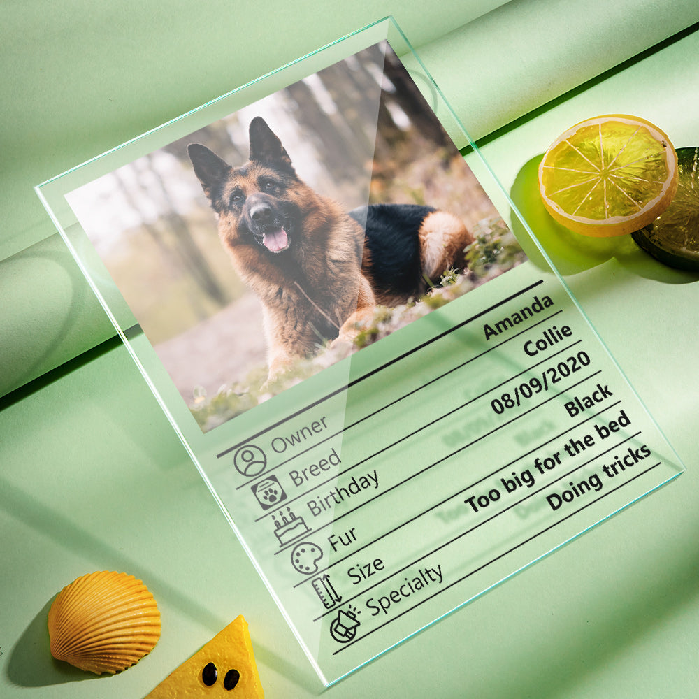 Custom Pet Photo Acrylic Plaque – Personalized Pet Keepsake & Memorial Gift