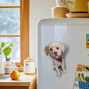 Personalized Refrigerator Magnet – Custom Pet Photo with Bobble Head - Customise Now