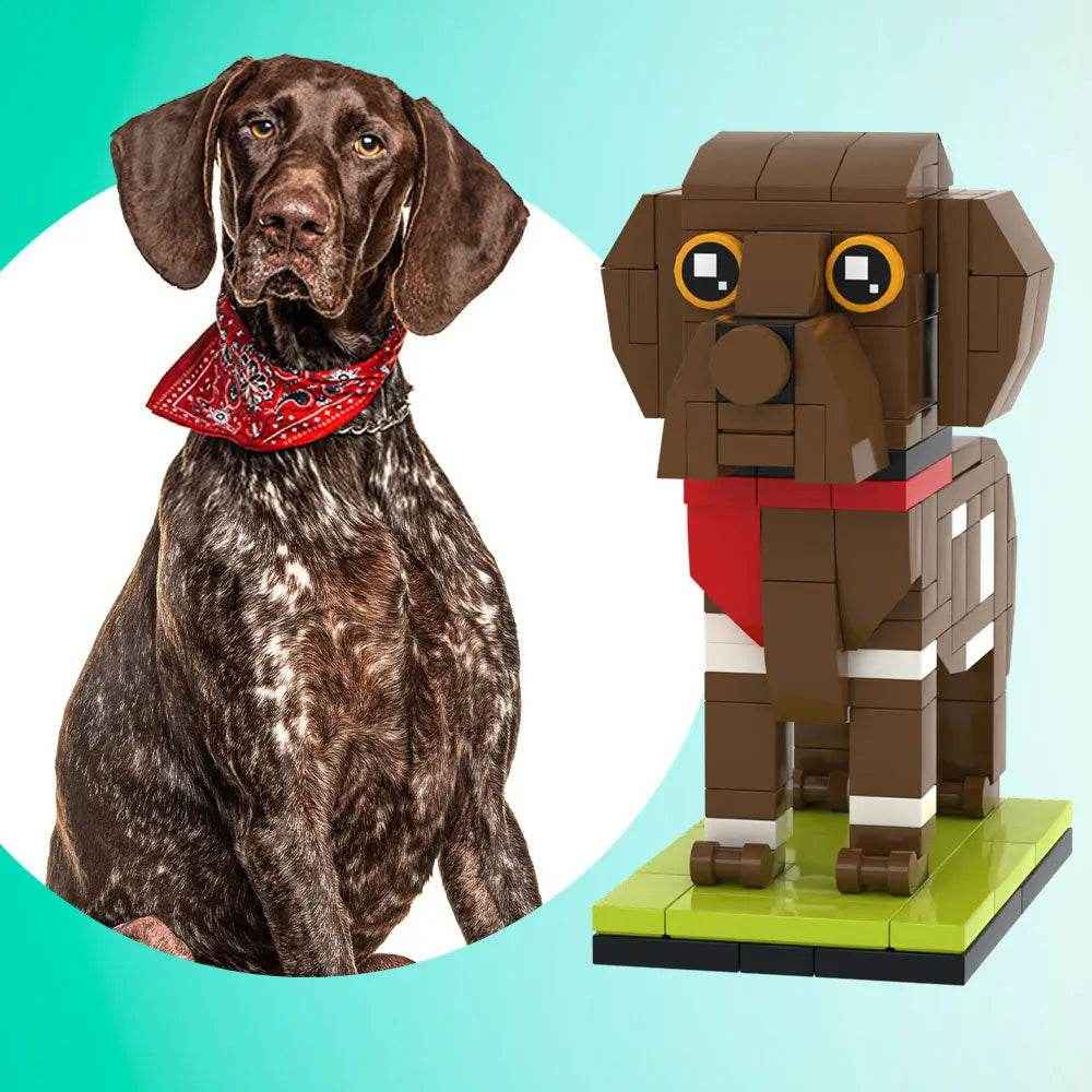 Customizable German Shorthaired Dog Brick Figure – Unique Full Body Mini Block Display - Customise Now