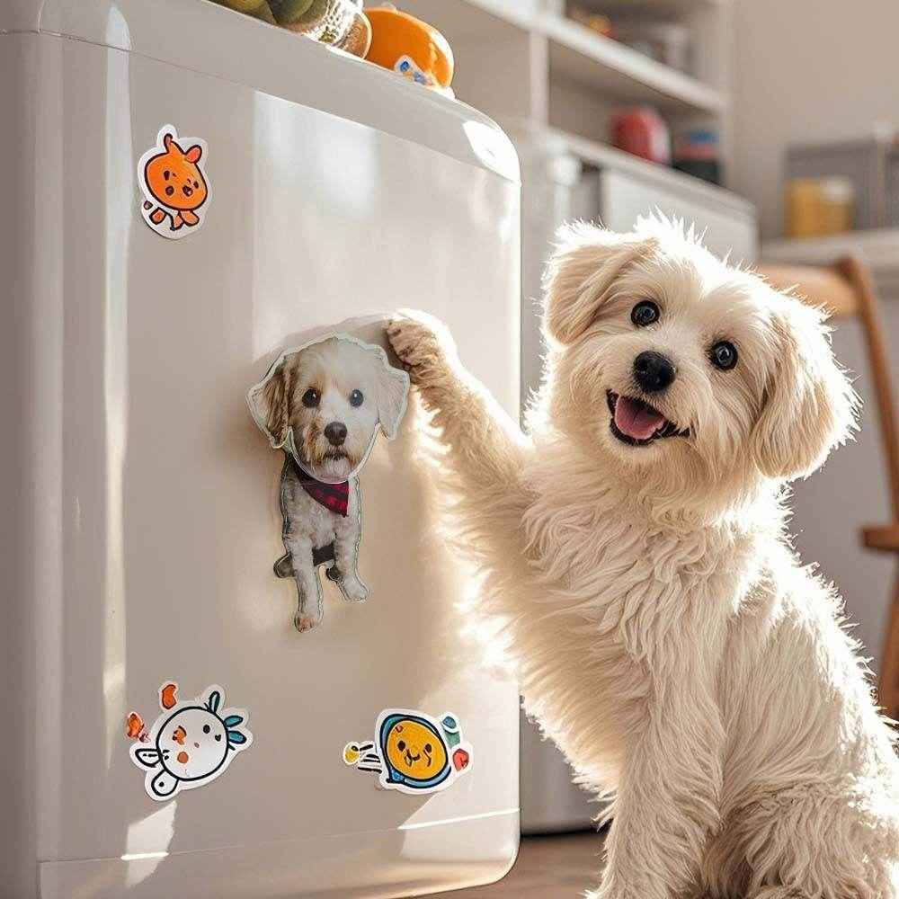 Personalized Refrigerator Magnet – Custom Pet Photo with Bobble Head - Customise Now