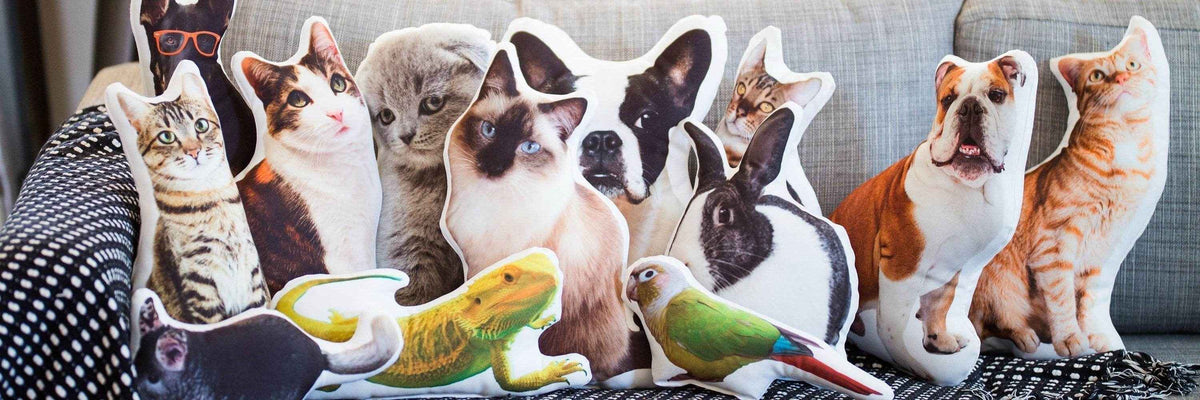 Why You Should Get a Custom Pet Pillow (Yes, It’s As Adorable As It Sounds) - Customise Now