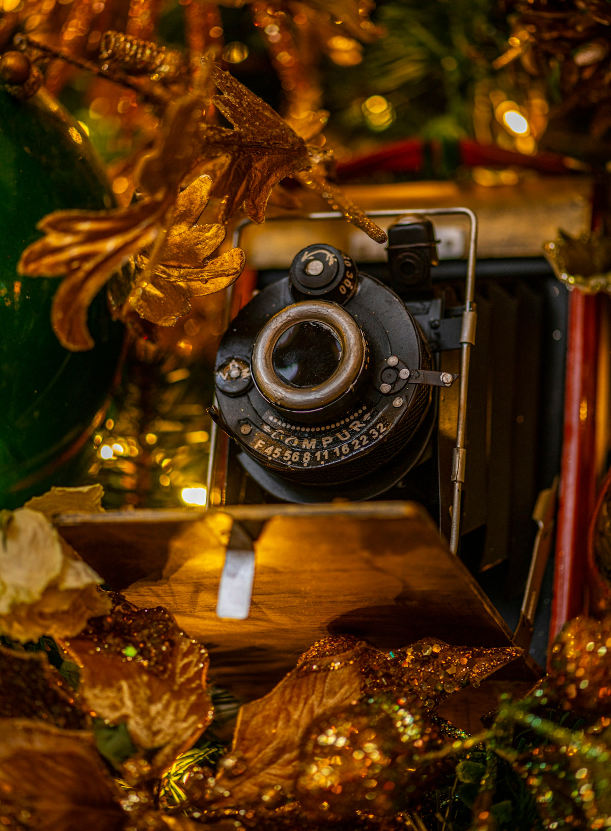 macro photography of black land camera