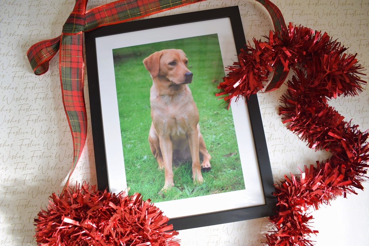 Framed dog picture with red plaid ribbon and tinsel decorations.