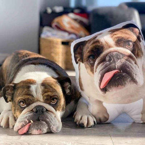 Pet Shaped Pillow – Personalized Gift for Cat & Dog Lovers - Customise Now