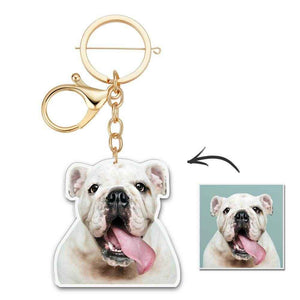 Pet Shaped Pillow – Personalized Gift for Cat & Dog Lovers - Customise Now