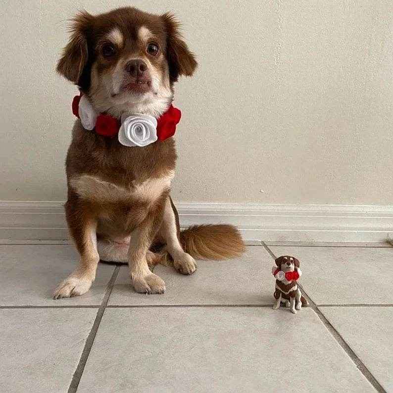 Personalized Animal Bobblehead – Custom 1 Pet Figurine with Fixed Head - Customise Now
