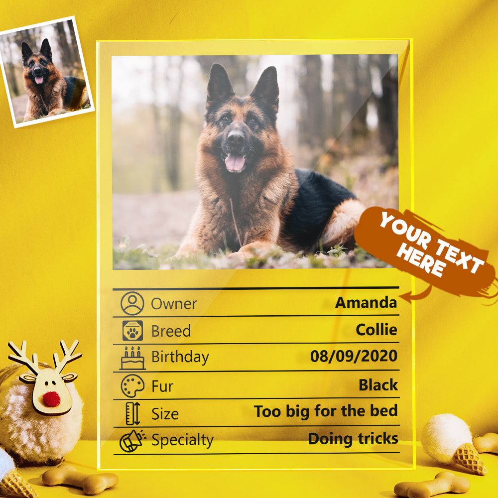 Custom Pet Photo Acrylic Plaque – Personalized Pet Keepsake & Memorial Gift